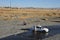 Residents of La Paz wash their cars in a mountain river in urban area