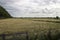 Residual peat area where the water board has stopped lowering the level in the Zuidplaspolder near Moordrecht