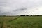 Residual peat area where the water board has stopped lowering the level in the Zuidplaspolder near Moordrecht