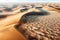 Resilience Amidst the Sands: A Closer Look at the Desert Ecosystem