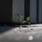 Resilience in Concrete: A Plants Triumph