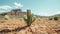 A resilient cactus amidst the arid expanse of the desert.