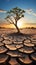Resilient tree amid cracked earth signifies climate changes impact water shortage, global warming