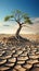 Resilient tree amid cracked earth signifies climate changes impact water shortage, global warming