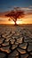 Resilient tree amid cracked earth signifies climate changes impact water shortage, global warming