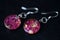 Resin earrings with dry rose petals on a dark background