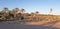 Resisting palm trees in the arid part of the palm trees valley in Figuig