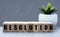 RESOLUTION - word on wooden cubes on a gray background with a cactus