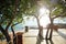 Resort balcony with trees and morning sun