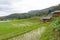 Resort with green Rice Terraces in Doi inthanon, Maeglangluang Karen village, chiangmai Thailand