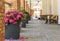 Resort hotel outdoor terrace exterior with pots of scarlet blooming decorative flowers at summer