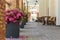 A resort hotel outdoor terrace with pots of scarlet blooming flowers at summer. Perspective view