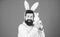 Respect for traditions. Man wearing bunny plush suit. Funny bunny man with beard and mustache. Easter symbol concept