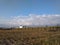 A resplendent seasonal panoramic view of rural agricultural partially cut sugarcane fields