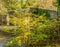 Respryn Bridge over the Fowey River