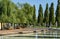 Rest area `Embankment` with artificial reservoir, surrounded by alley with oak quercus robur. Willows provide shade.