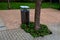 Rest area with park bench and ornamental cherry trees. the surface is made of beige fine gravel, square flowerbeds with perennials