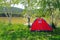 Rest in a red tent in a pine forest on the shore lake on a sunny