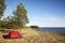 Rest in a tent in a pine forest on the shore of the Ladoga lake