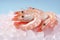 Restaurant background healthy delicious meal red fresh seafood prawn food gourmet shrimp
