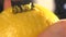 Restaurant chef rubbing a lemon peel on a grater in restaurant kitchen. Close up