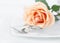 Restaurant Dinner Arrangement Set Plate Silverware Orange Rose