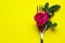 Restaurant food service. Colorful image of flower and fork on yellow backdrop, colorful background, blurry shot.