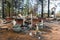 Restaurant ruins after wild fire