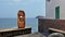 Resting area with unusual-looking piece of driftwood as a sculpture, El Medano, Tenerife, Canary Islands, Spain