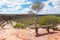 Resting Bench on Kalbarri Cliff