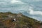 Resting bird, Kangaroo Island, South Australia