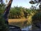 A resting corner in Mekorot Hayarkon near Petah Tikva in Israel between the reeds and under a palm tree from which you jump usin