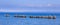 Resting Sea Gulls In Lake Superior