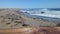 Resting Seals and Sea Lions along the beach in Highway 101