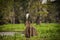 Resting Snowy Egret