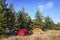 Resting in tents in a pine fores