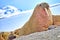 Resting Walrus, Arctic, Svalbard, Norway