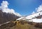 Resting yak, on the Everest Base Camp trek