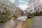 Reston Virginia VanGogh Footbridge in Spring