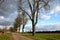 Restoration of old alleys of horse chestnut trees. each historical path in the baroque landscape had two rows of alleys. Replaceme