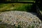 restoration of a pond with a stone wall buried under the terrain. fire tank