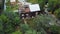 Restoration of wooden house in countryside. Stock footage. Top view of burnt wooden house outside city. Restoration of