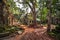 Restoration workers at Angkor Wat