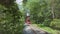 Restored Antique Steam Engine, Approaching, Riding Along a Single Track in the Woods