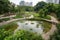 restored park, with greenery and wildlife visible, provides oasis of tranquility in busy city