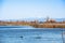 Restored ponds and marshes in Sacramento National Wildlife Refuge