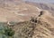 Restored Portuguese watchtowers near Birkat al Mawz , Oman