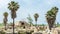 Restored seats of the hippodrome, Al Bass archaeological site, Tyre, Lebanon