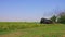 Restored Steam Engine and Train Approaching Blowing Smoke and Steam