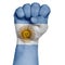 A restrained image of a fist painted in the colors of the flag of Argentina. Image on a white background